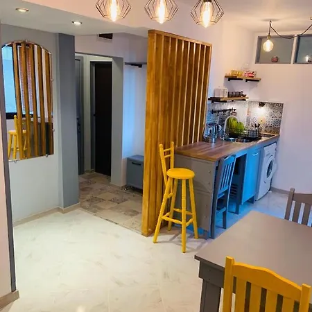 公寓 Vasiliko Sea View *